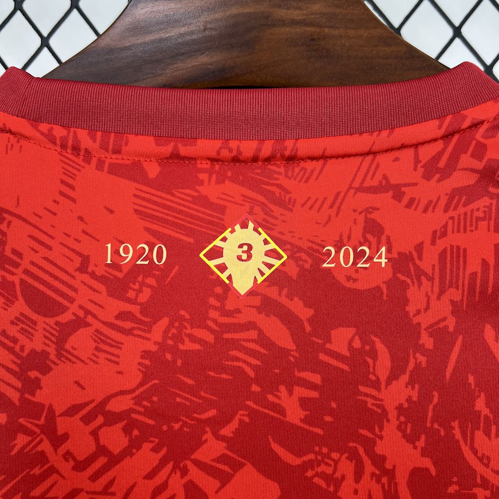 Camiseta Seleção da Espanha Special Edition 24/25