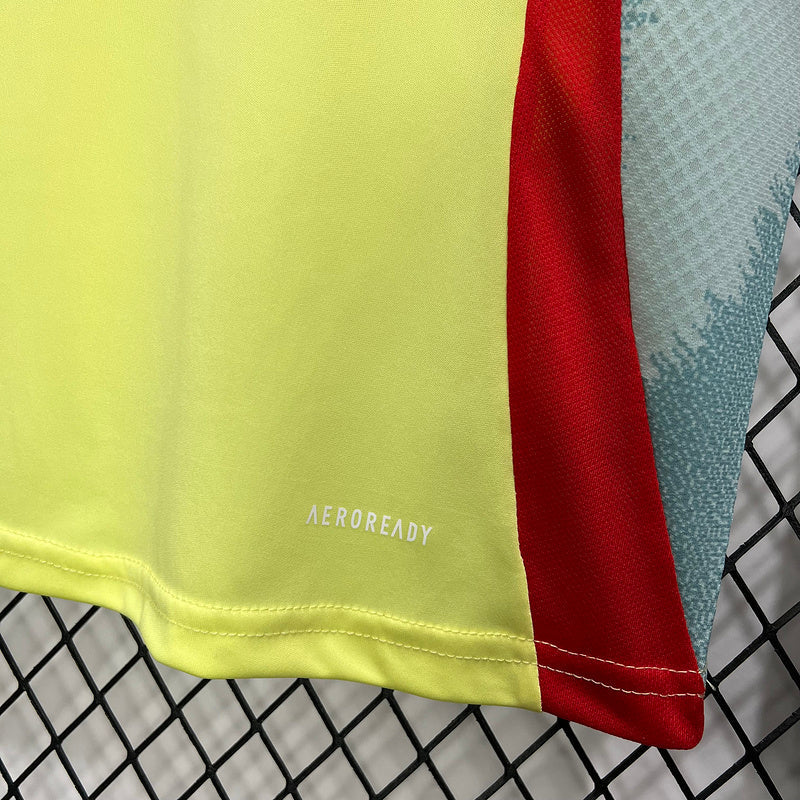 Camiseta Seleção da Espanha ll  - 24/25