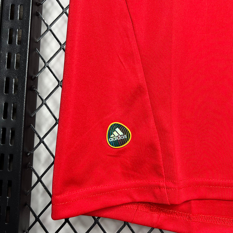 Camiseta Seleção da Espanha l Retro 2010