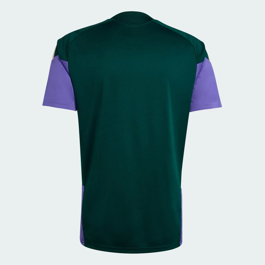 Jersey Saudi Arabia 2026 Training